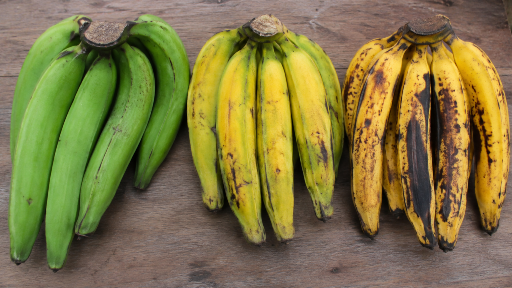 Ripe and green plantains side by side